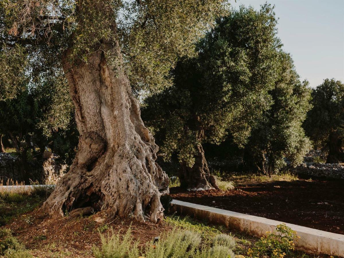Masseria Dagilupi Ostuni Exterior foto